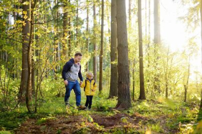 Isä ja poika kävelevät aurinkoisessa metsässä, reput selässä