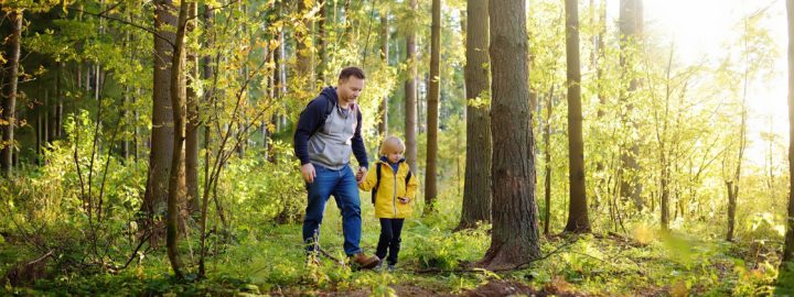 Isä ja poika kävelevät aurinkoisessa metsässä, reput selässä