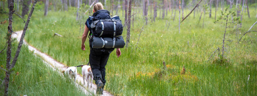 Kiila-kuntoutukseen osallistunut lääkäri patikoimassa koiriensa kanssa