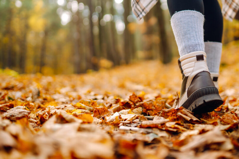Syksyinen maasto, lähikuva naisen jaloista kävelemässä vaelluskengissä