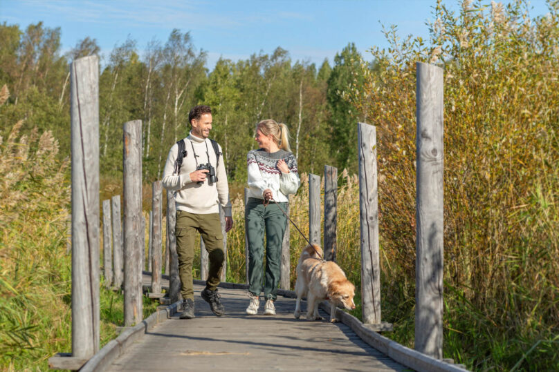 Mies ja nainen kävelyttävät koiraa pitkospuilla.