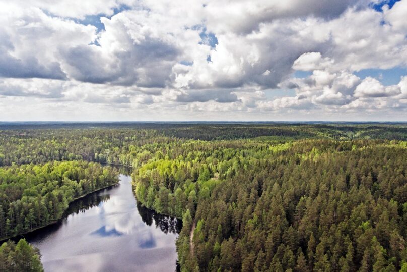 Ilmakuva metsämaisemasta, jonka keskellä järvi.