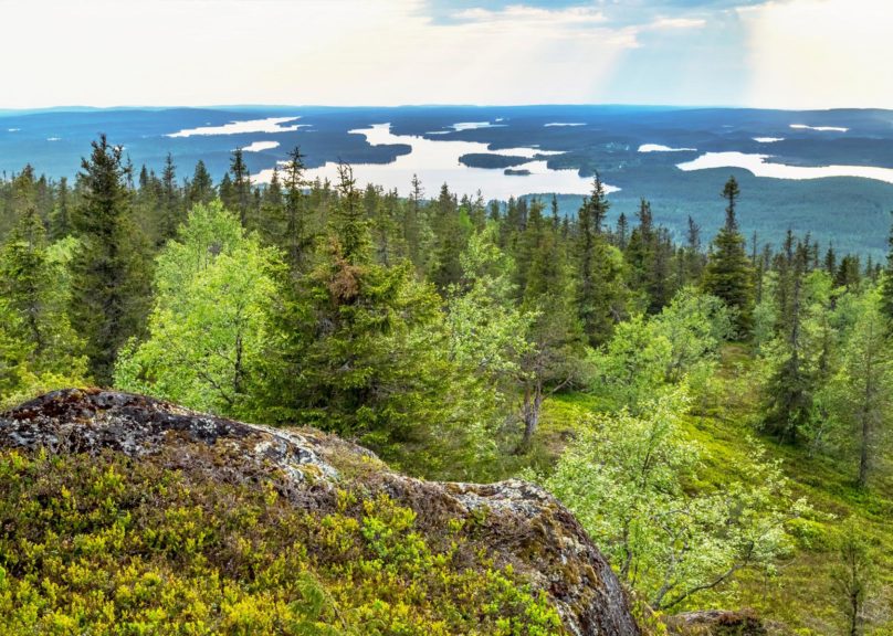 Metsä- ja järvimaisema Kuusamossa kuvattuna tunturin päältä kesällä.