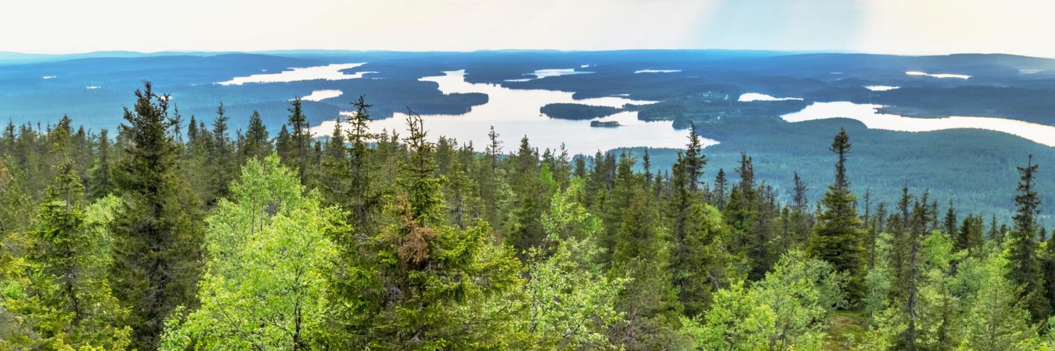 Metsä- ja järvimaisema Kuusamossa kuvattuna tunturin päältä kesällä.