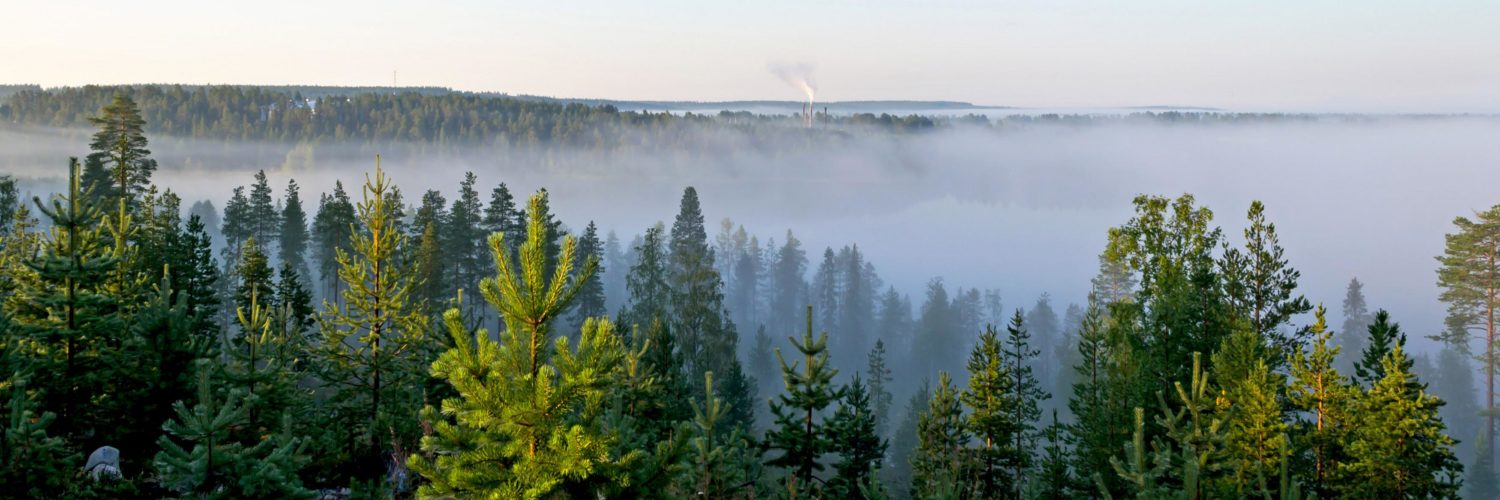 Maisemakuva Posiolta, jossa näkyy metsää, vesistöä ja usvaa puiden lomassa.