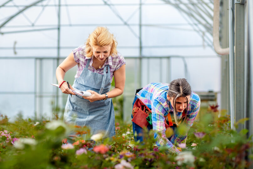 Työkokeilussa kaksi naista puutarhalla töissä