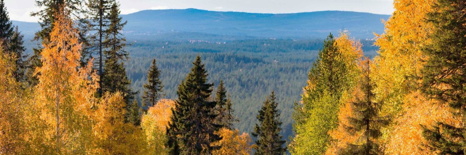 ruska maisema kuusamo