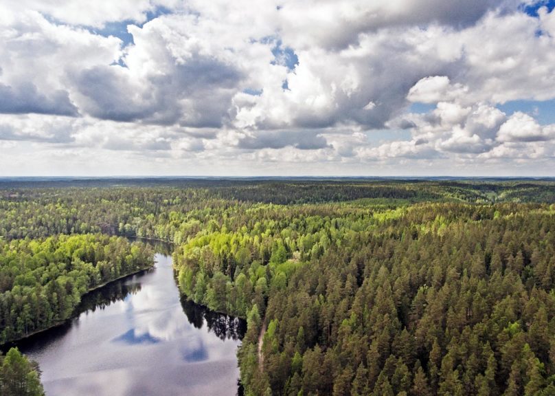 Ilmakuva metsämaisemasta, jonka keskellä järvi.