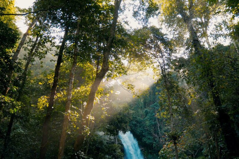 Vesiputous ja aurinko siiloutuu tuuhean, vehreän metsän läpi.