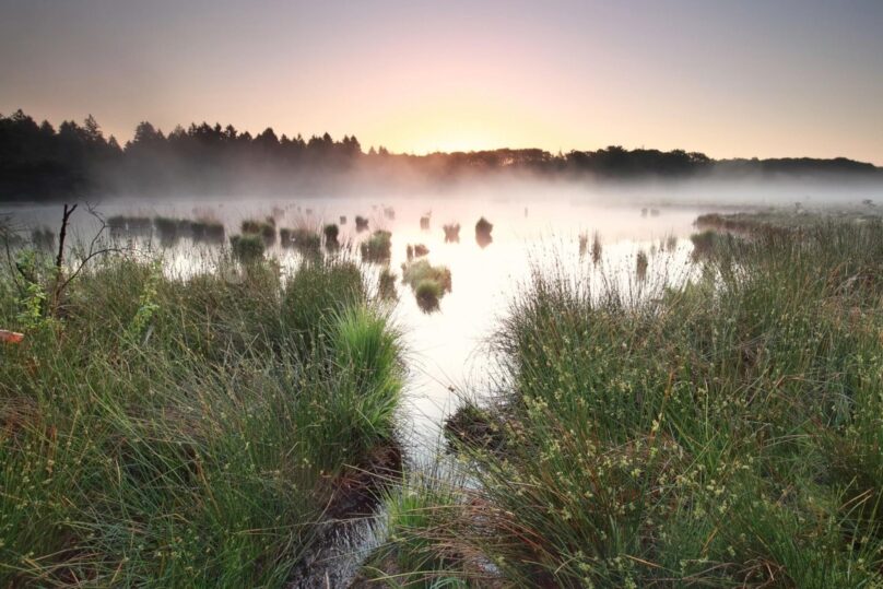 Auringonlasku veden äärellä ja sumua sekä rantakasvillisuutta ja kiviä näkyvissä.