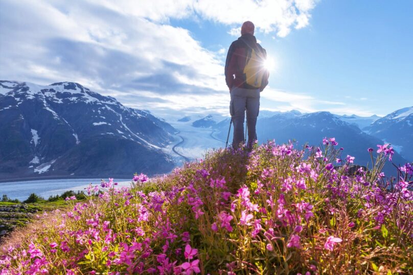 Mies seisoo korkealla vuoren päällä ja katselee sinisävyistä vuorimaisemaa, jalkojen juurella kasvaa punertavia kukkia.