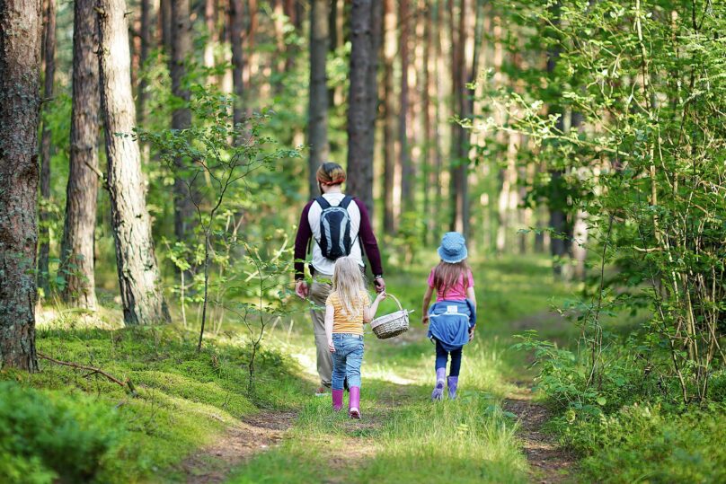 Isä ja kaksi tyttöä kävelemässä metsässä kesällä puolivartalokuvassa.