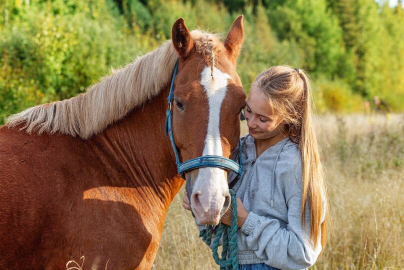hevonen ja tytto pellolla