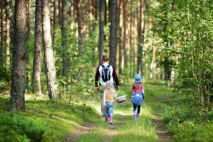 mies ja kaksi lasta kavelee metsassa