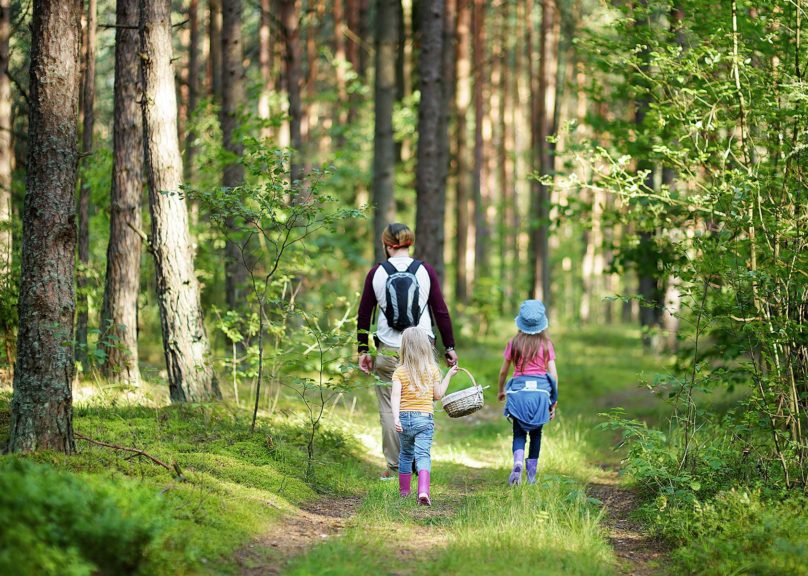 mies ja kaksi lasta kavelee metsassa