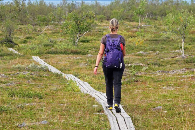 nainen kavelee pitkospuilla luonnossa