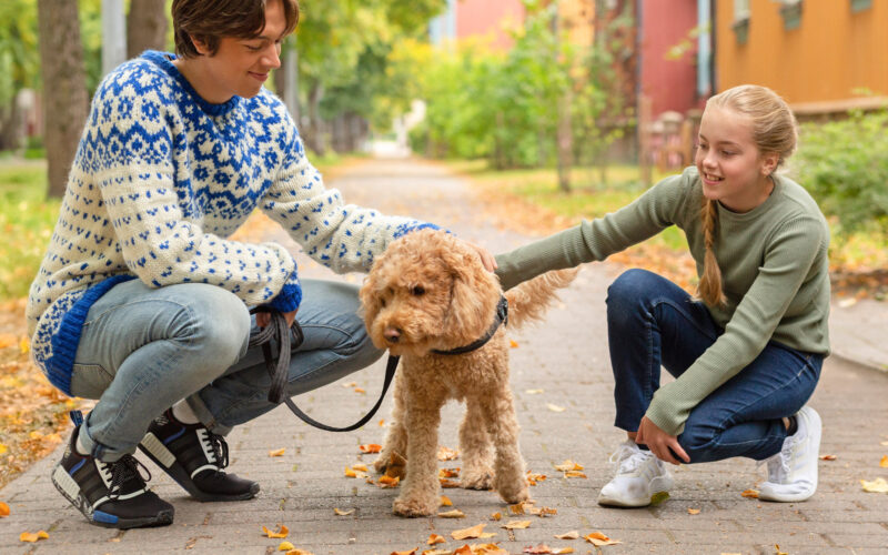 Poika, tyttö ja koira ulkona eläinavusteisessa toimintaterapiassa