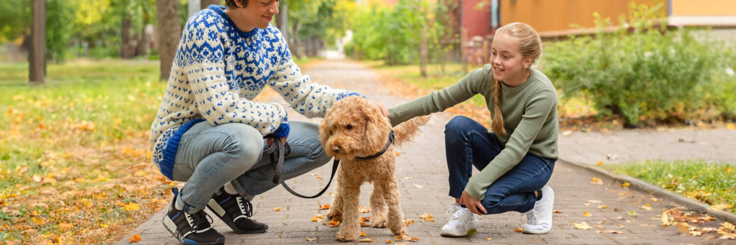 Poika, tyttö ja koira ulkona eläinavusteisessa toimintaterapiassa
