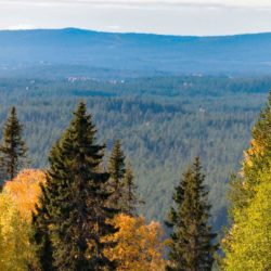 ruska maisema kuusamo