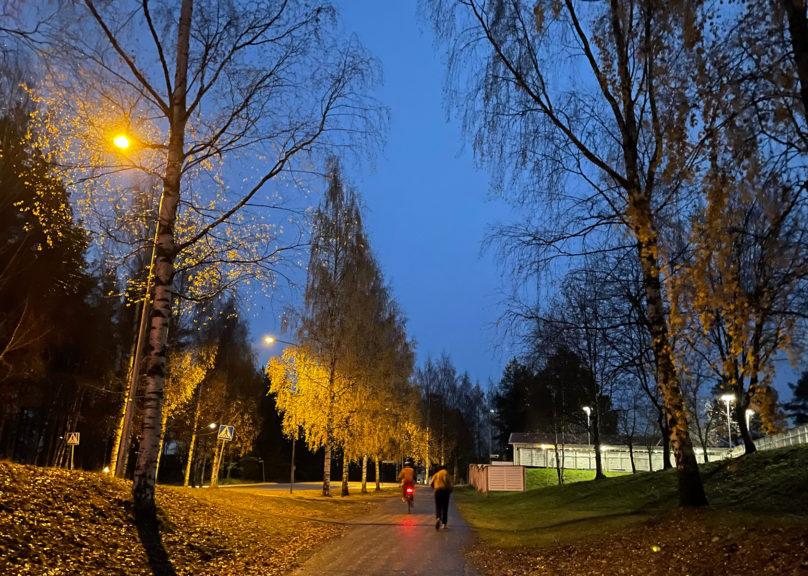 Kaamosväsymys on yleistä pimeään vuodenaikaan. Kuvassa marraskuinen iltapäivä.