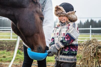tytto ruokkii hevosta ulkona