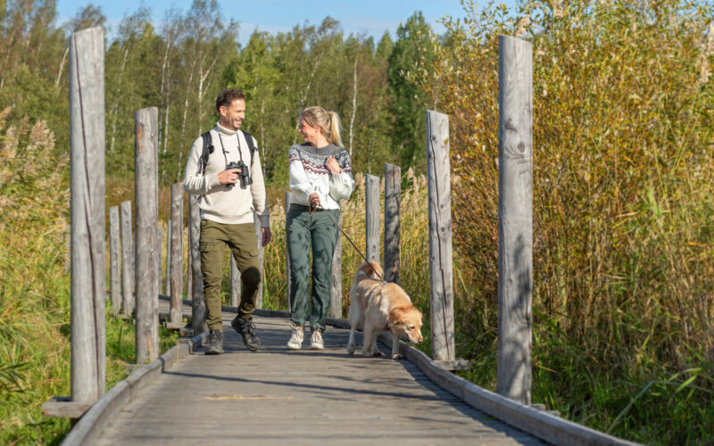 Mies ja nainen kävelyttävät koiraa pitkospuilla.