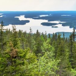 Metsä- ja järvimaisema Kuusamossa kuvattuna tunturin päältä kesällä.