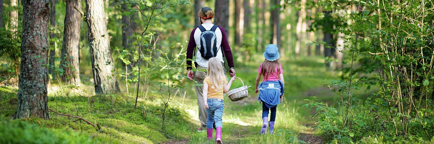 Isä ja kaksi tyttöä kävelevät metsässä kesällä reput selässä.