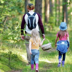 Isä ja kaksi tyttöä kävelevät metsässä kesällä reput selässä.