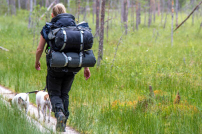 Kiila-kuntoutukseen osallistunut lääkäri patikoimassa koiriensa kanssa