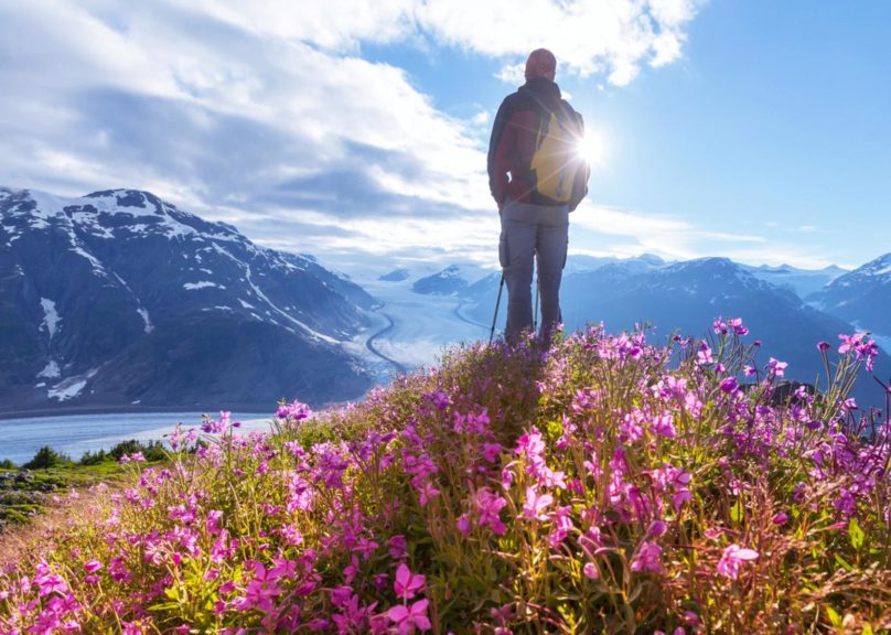 Mies seisoo korkealla vuoren päällä ja katselee sinisävyistä vuorimaisemaa, jalkojen juurella kasvaa punertavia kukkia.