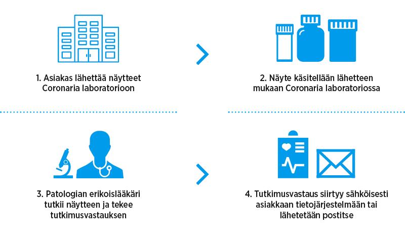 Patologian prosessikaavio