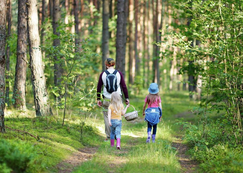 Isä ja kaksi tyttöä kävelemässä metsässä kesällä puolivartalokuvassa.